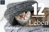 12 Leben