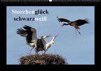 Storchenglück schwarzweiß (Wandkalender 2020 DIN A2 quer)