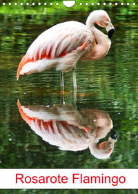 Rosarote Flamingo (Wandkalender 2023 DIN A4 hoch)