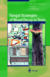 Fungal Strategies of Wood Decay in Trees