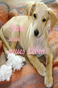 Start in ein neues Leben