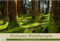 Heilsame Waldtherapie - Waldbaden nach Shinrin Yoku (Wandkalender 2022 DIN A3 quer)