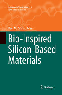 Bio-Inspired Silicon-Based Materials