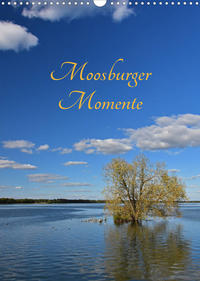 Moosburger Momente (Wandkalender 2023 DIN A3 hoch)