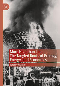 More Heat than Life: The Tangled Roots of Ecology, Energy, and Economics