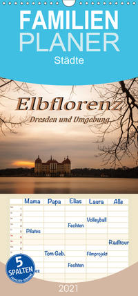 Elbflorenz - Dresden und Umgebung - Familienplaner hoch (Wandkalender 2021 , 21 cm x 45 cm, hoch)