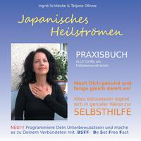 Japanisches Heilströmen: Praxisbuch