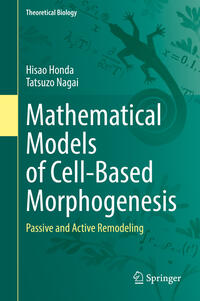 Mathematical Models of Cell-Based Morphogenesis