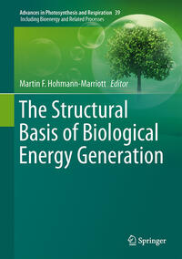 The Structural Basis of Biological Energy Generation