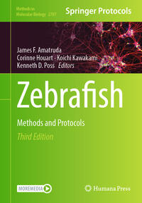 Zebrafish