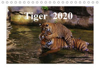 Tiger 2020 (Tischkalender 2020 DIN A5 quer)