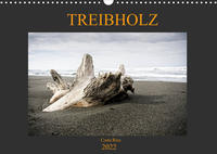 Treibholz Costa Rica (Wandkalender 2022 DIN A3 quer)