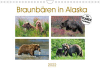 Braunbären in Alaska (Wandkalender 2022 DIN A4 quer)