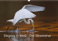 Eleganz in Weiß - Der Silberreiher (Wandkalender 2023 DIN A3 quer)