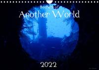 Secrets of Another World - Fotos aus faszinierenden Unterwasserwelten (Wandkalender 2022 DIN A4 quer)