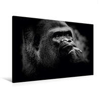 Premium Textil-Leinwand 120 x 80 cm Quer-Format Gorilla | Wandbild, HD-Bild auf Keilrahmen, Fertigbild auf hochwertigem Vlies, Leinwanddruck von Ulrich Brodde