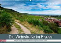 Die Weinstaße im Elsass (Wandkalender 2023 DIN A2 quer)