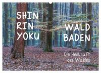 Shinrin yoku - Waldbaden 2025 (Wandkalender 2025 DIN A2 quer), CALVENDO Monatskalender