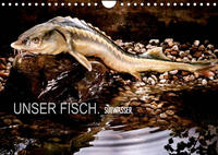 UNSER FISCH. SÜßWASSER. (Wandkalender 2022 DIN A4 quer)