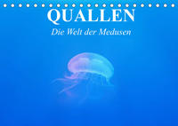 Quallen. Die Welt der Medusen (Tischkalender 2022 DIN A5 quer)