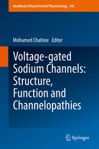 Voltage-gated Sodium Channels: Structure, Function and Channelopathies