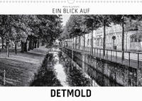 Ein Blick auf Detmold (Wandkalender 2023 DIN A3 quer)