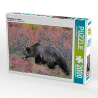 CALVENDO Puzzle Braunbär in Alaska 2000 Teile Lege-Größe 90 x 67 cm Foto-Puzzle Bild von Dieter-M. Wilczek