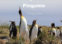 Pinguine in Patagonien (Wandkalender 2022 DIN A2 quer)