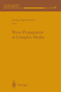 Wave Propagation in Complex Media