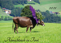 Almabtrieb in Tirol (Wandkalender 2021 DIN A2 quer)