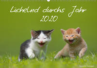 Lächelnd durchs Jahr 2020 (Wandkalender 2020 DIN A2 quer)