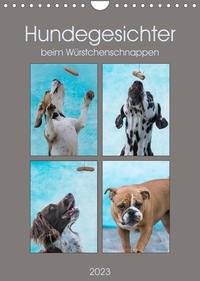 Hundegesichter beim Würstchenschnappen (Wandkalender 2023 DIN A4 hoch)