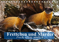 Frettchen und Marder. Frech, witzig, niedlich (Tischkalender 2022 DIN A5 quer)