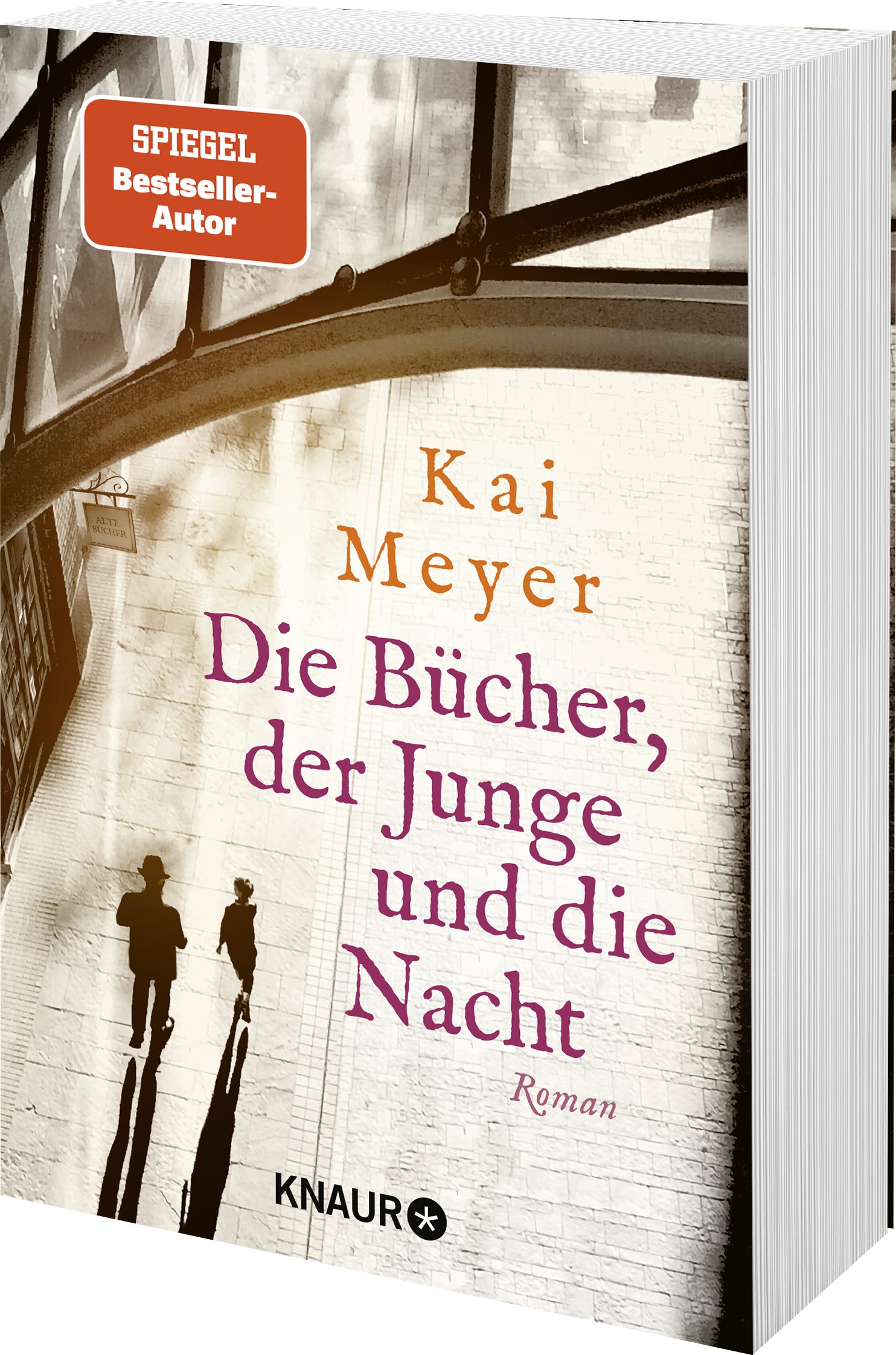 Die Bücher, der Junge und die Nacht