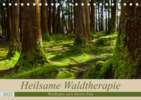 Heilsame Waldtherapie - Waldbaden nach Shinrin Yoku (Tischkalender 2023 DIN A5 quer)