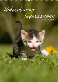 Katzenkinder - Impressionen (Wandkalender 2021 DIN A2 hoch)