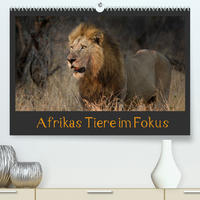 Afrikas Tiere im FokusAT-Version (Premium, hochwertiger DIN A2 Wandkalender 2022, Kunstdruck in Hochglanz)