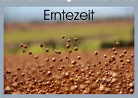 Erntezeit (Wandkalender 2022 DIN A2 quer)