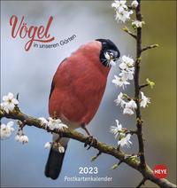 Vögel in unseren Gärten Postkartenkalender 2023. Ein kleiner Kalender zum Aufstellen und Aufhängen mit den 12 häufigsten Gartenvogelarten. Postkarten-Fotokalender zum Heraustrennen.