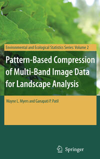 Pattern-Based Compression of Multi-Band Image Data for Landscape Analysis