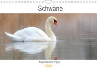 Schwäne Majestätische Vögel (Wandkalender 2022 DIN A4 quer)