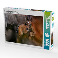 CALVENDO Puzzle Eleganz und Schönheit - Pferde 1000 Teile Lege-Größe 64 x 48 cm Foto-Puzzle Bild von Peter Roder