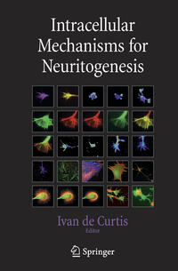 Intracellular Mechanisms for Neuritogenesis