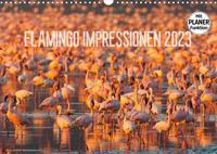 Flamingo Impressionen 2023 (Wandkalender 2023 DIN A3 quer)