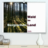 Wald im Bergischen Land 2023 (Premium, hochwertiger DIN A2 Wandkalender 2023, Kunstdruck in Hochglanz)