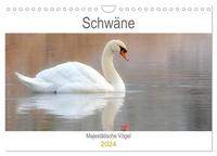 Schwäne Majestätische Vögel (Wandkalender 2024 DIN A4 quer), CALVENDO Monatskalender