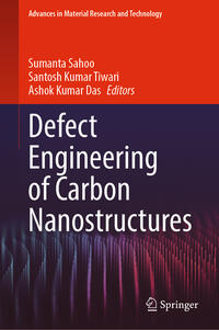 Defect Engineering of Carbon Nanostructures