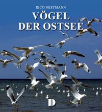 Bildband Vögel der Ostsee