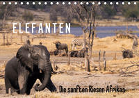 Elefanten - Die sanften Riesen Afrikas (Tischkalender 2020 DIN A5 quer)