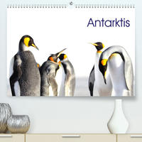 Antarktis - viaje.ch (Premium, hochwertiger DIN A2 Wandkalender 2023, Kunstdruck in Hochglanz)